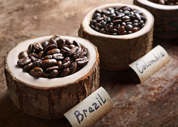 Canvastavla - Bean Origins