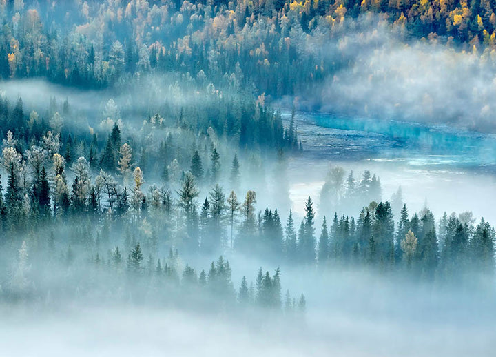 Canvastavla - River and Forest