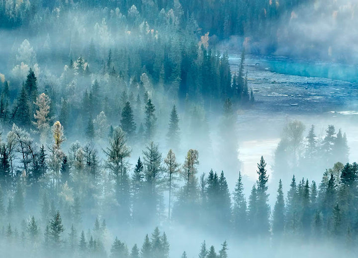 Canvastavla - River and Forest