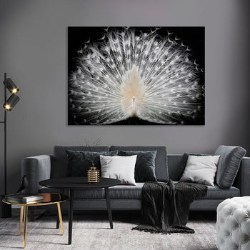 Canvastavla - Peacock