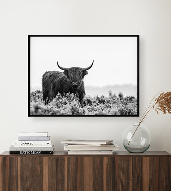 Poster - Buffalo