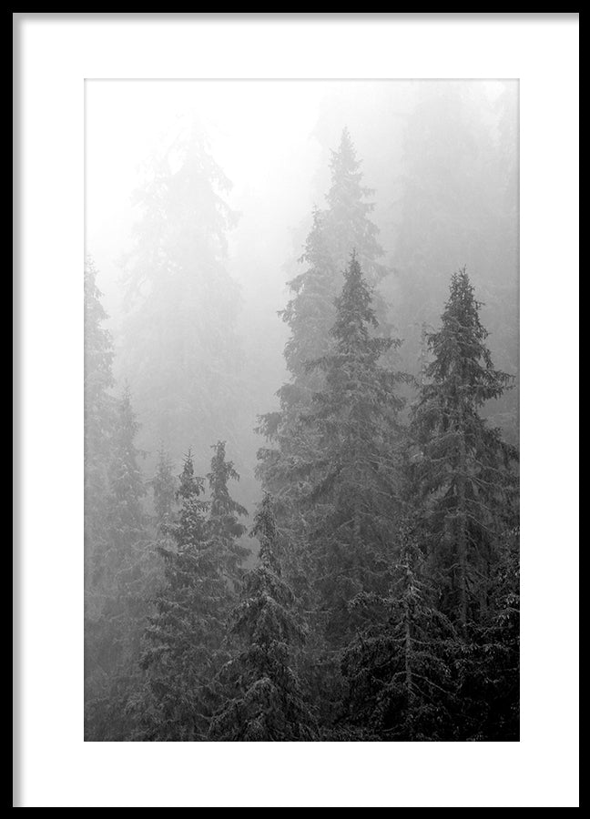 Poster - Nature