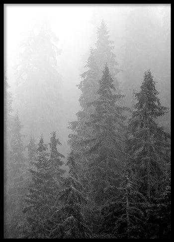 Poster - Nature