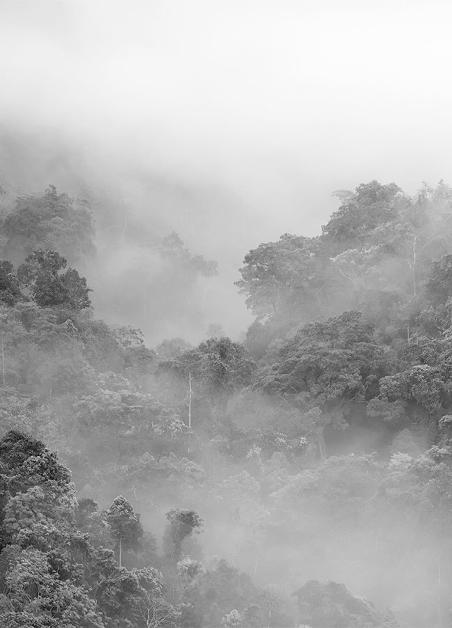 Poster - Fog