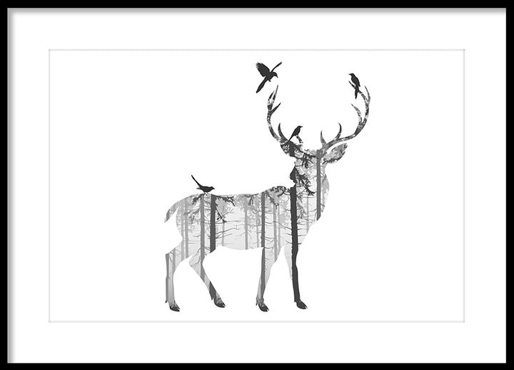 Poster - Deer