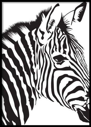 Poster - Zebra