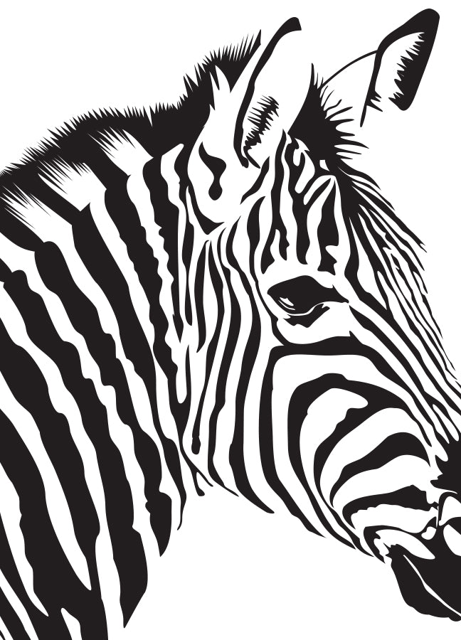 Poster - Zebra