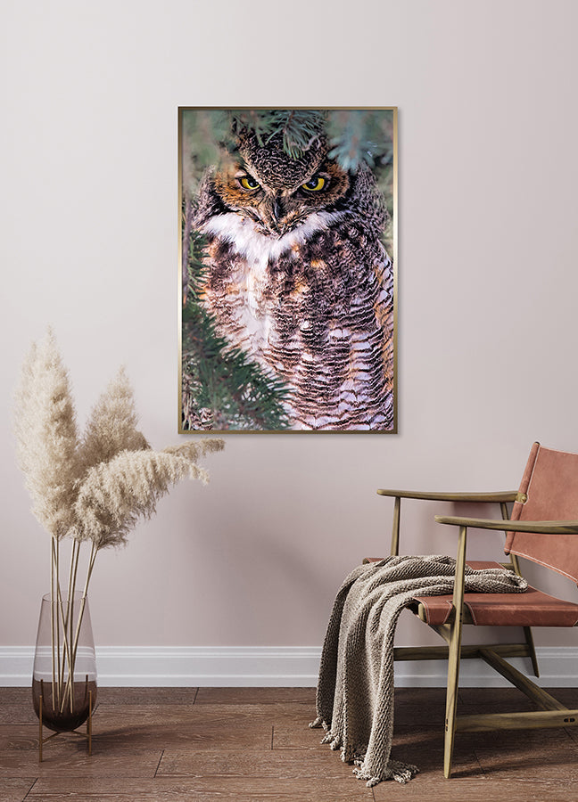 Poster - Peek