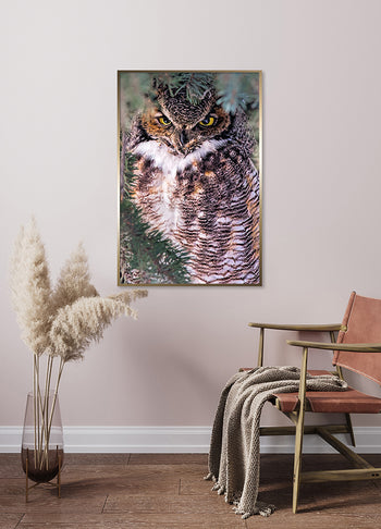 Poster - Peek
