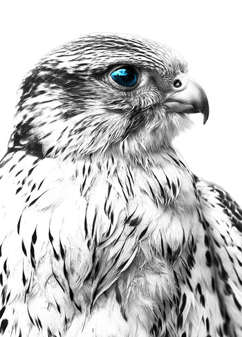 Poster - Silver Eagle