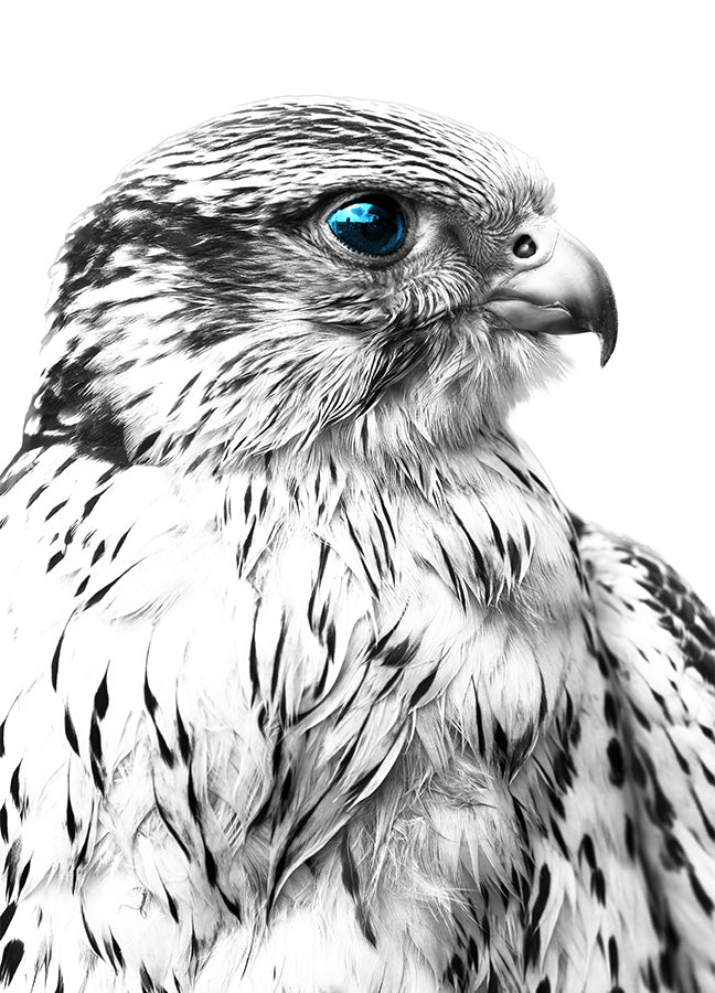 Poster - Silver Eagle
