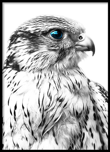 Poster - Silver Eagle