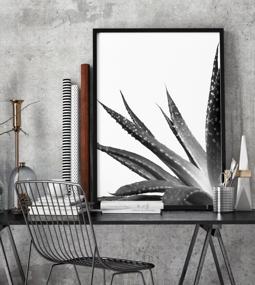 Poster - Cactus