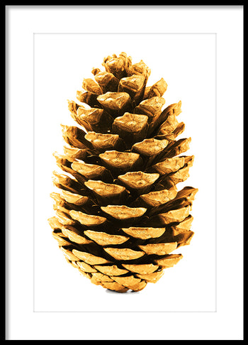 Poster - Cone