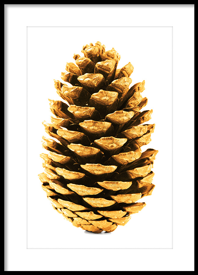 Poster - Cone