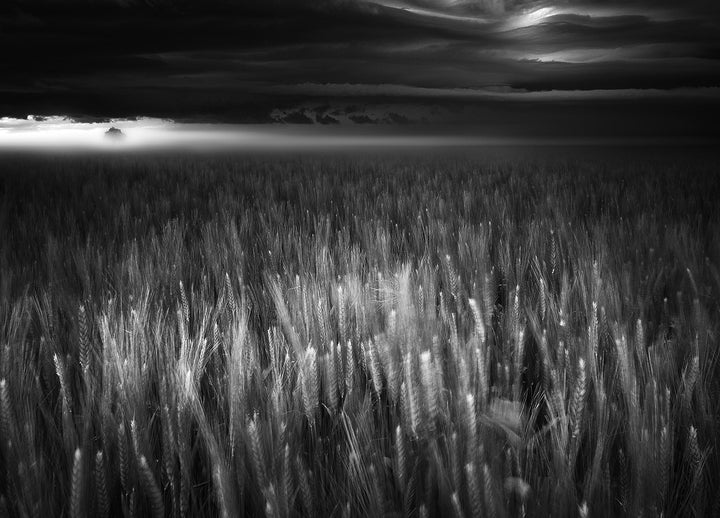 Canvastavla - Between Earth & Sky