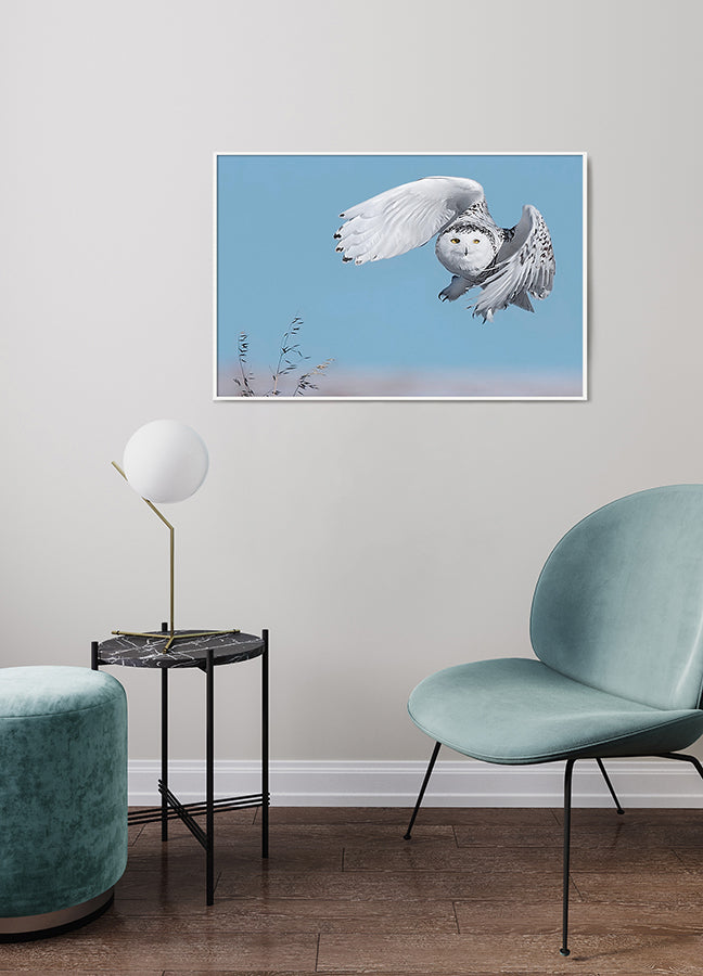 Poster - Wildfowl