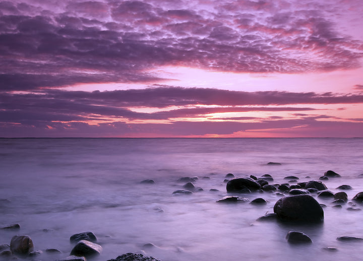 Canvastavla - Violet Sea