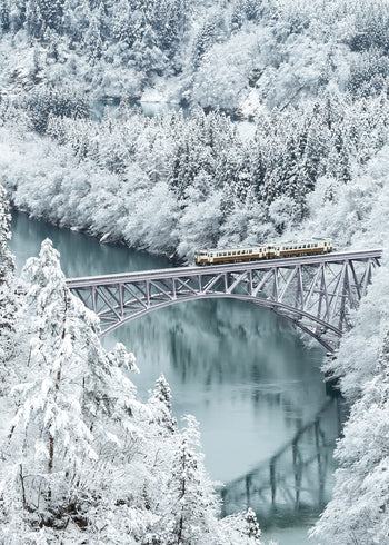 Canvastavla - Train in Winter