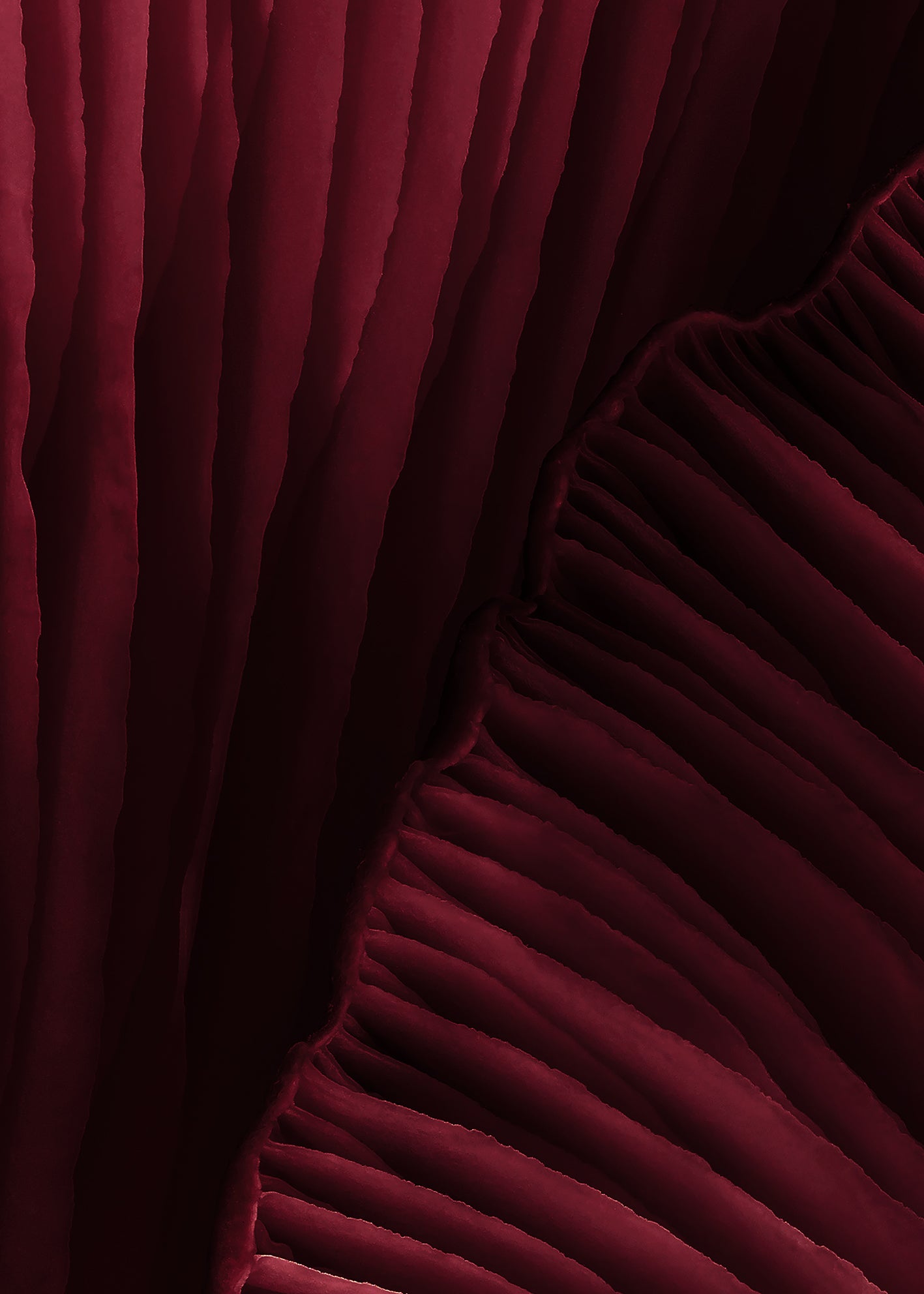 Canvastavla - Viva Magenta