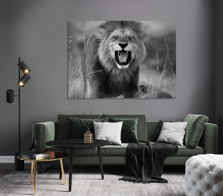 Tavla - Roar
