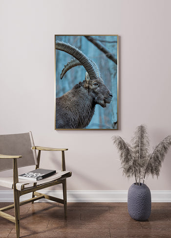 Poster - Buck