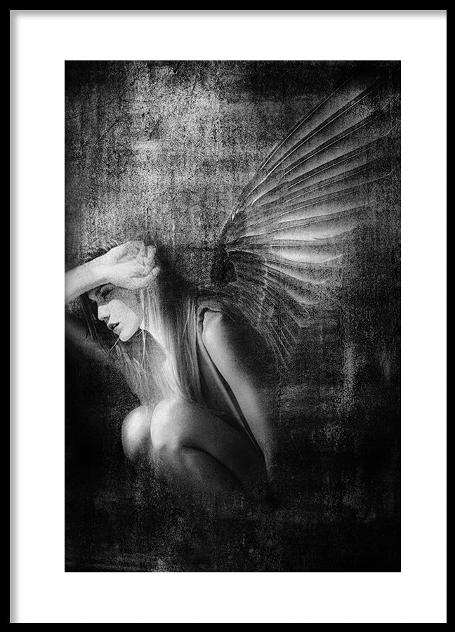 Poster - Shadows