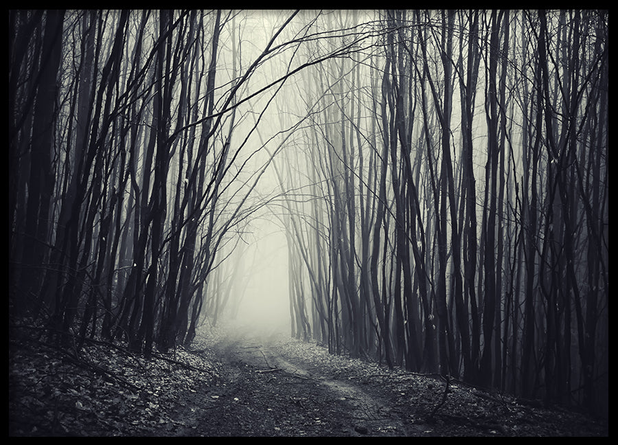 Poster - Forest