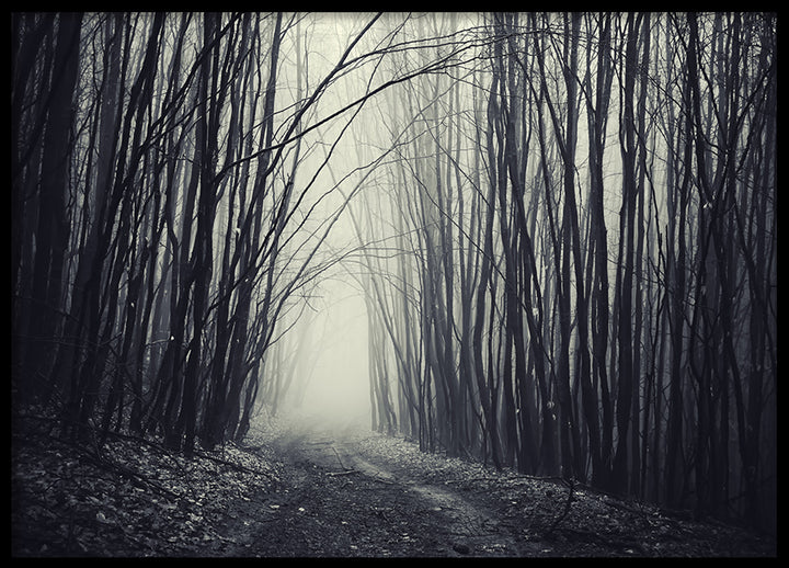 Poster - Forest