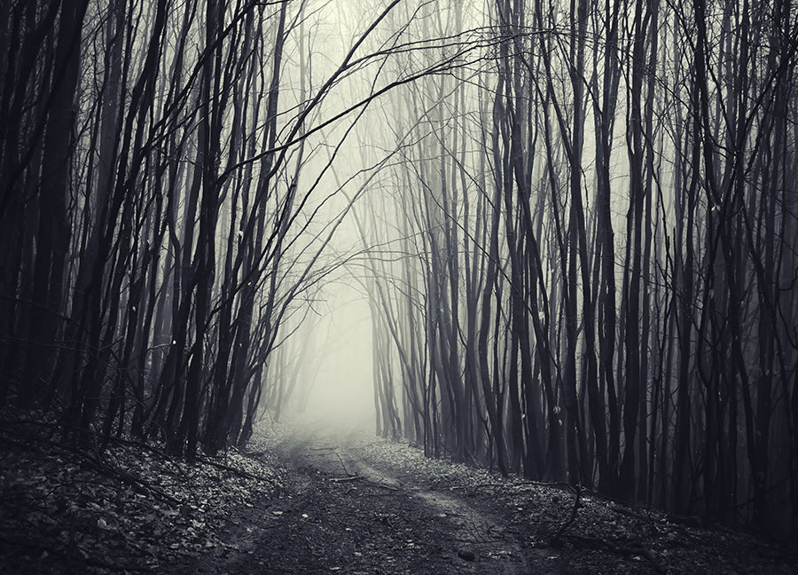 Poster - Forest