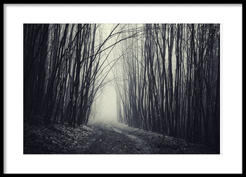 Poster - Forest
