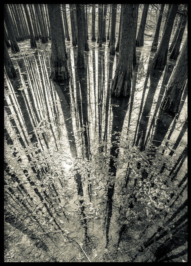 Poster - Synchronicity