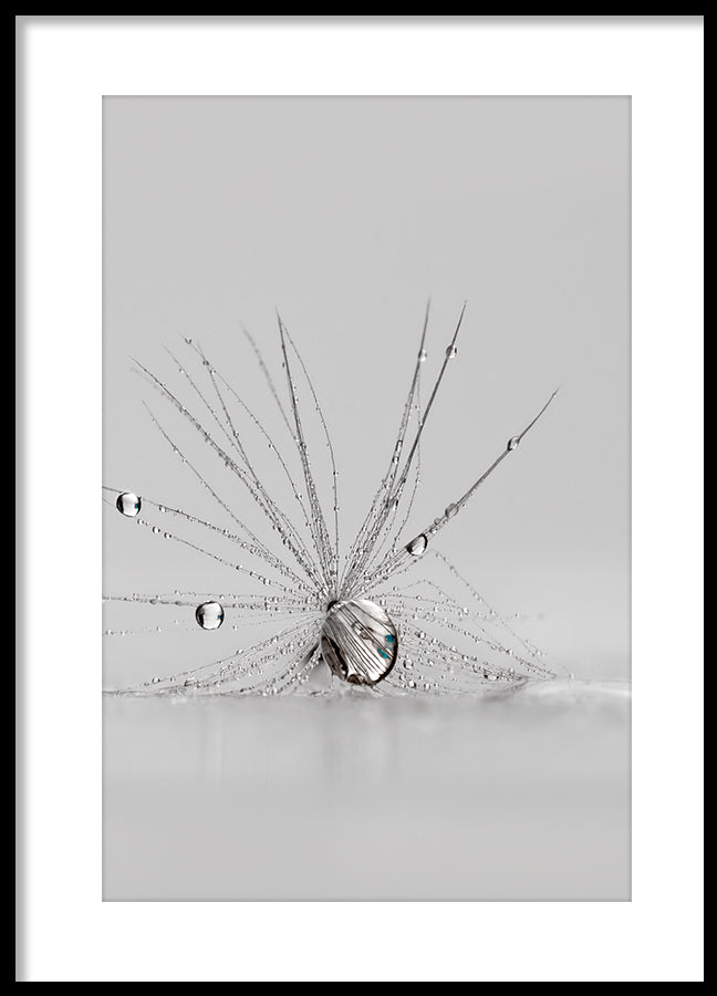 Poster - Spider