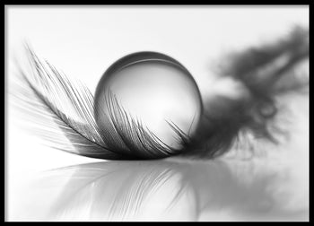 Poster - Silver
