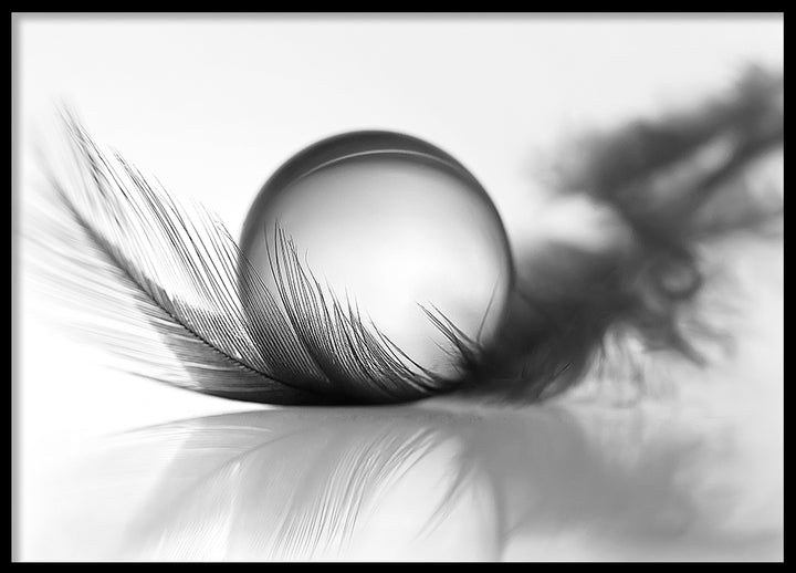 Poster - Silver