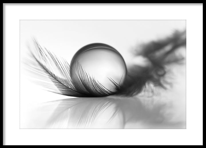 Poster - Silver