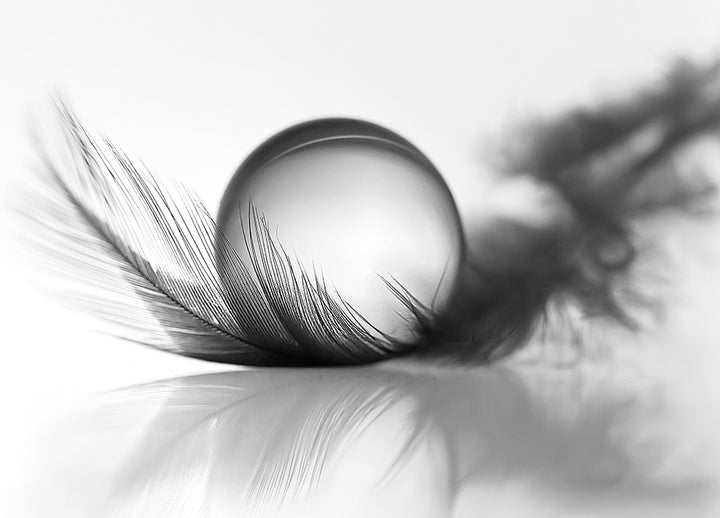 Poster - Silver