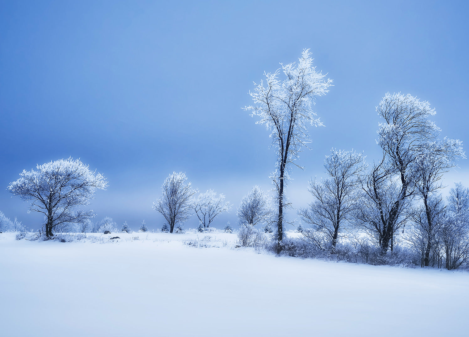 Canvastavla - Winterland