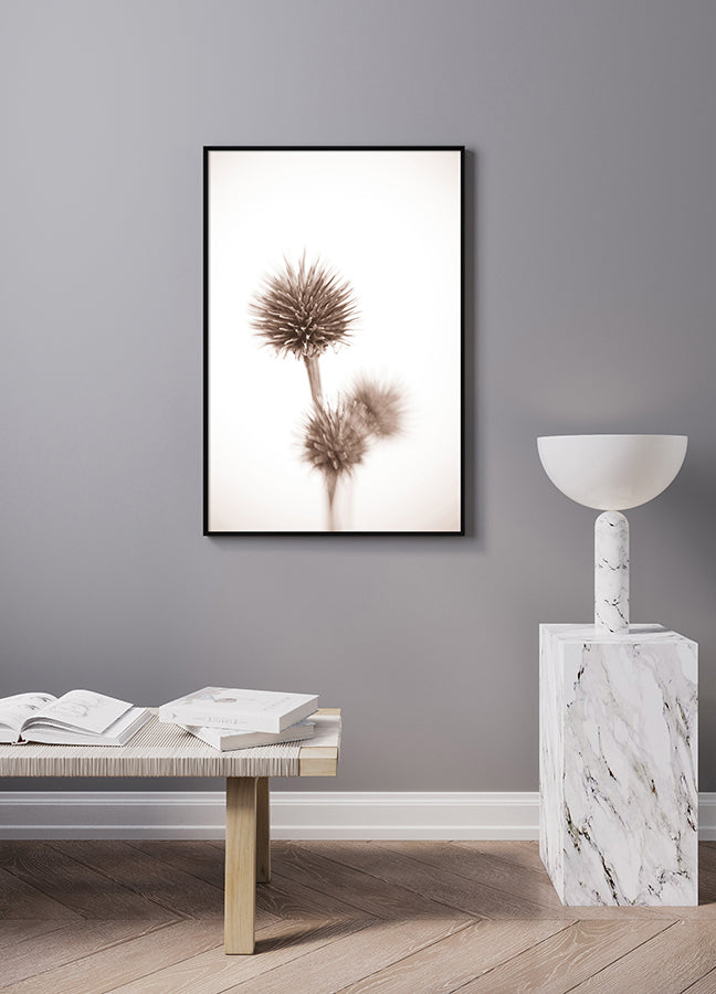 Poster - Seed Pods