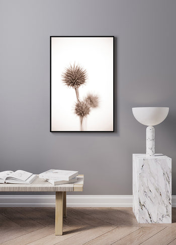 Poster - Seed Pods