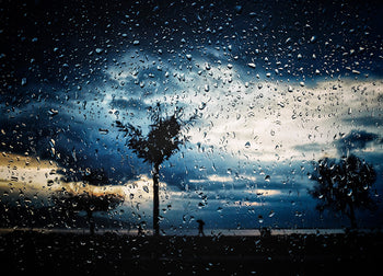 Tavla - Blue Nights