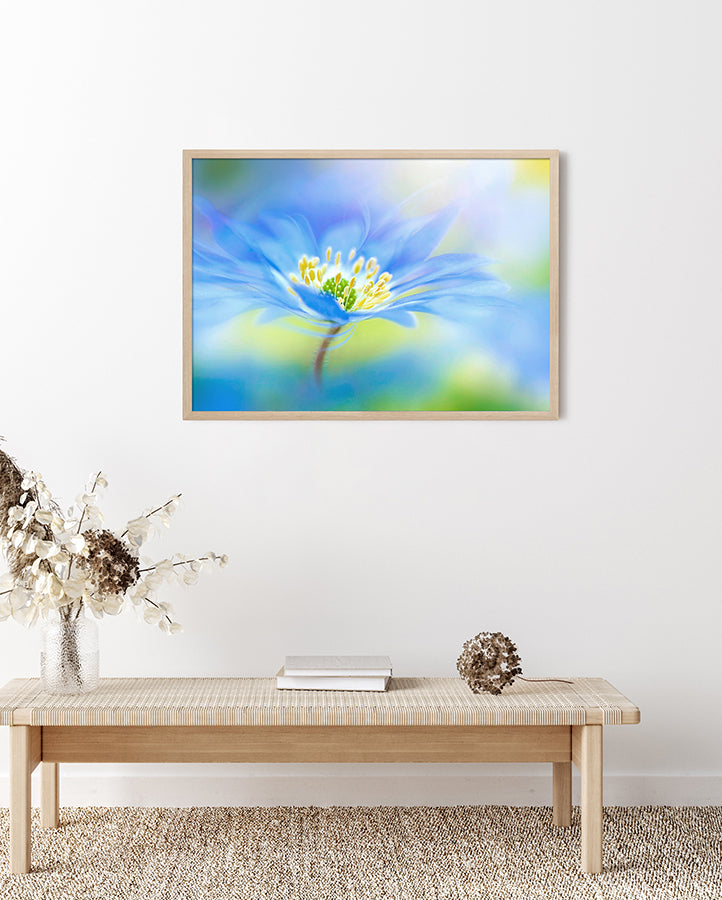 Poster - Indigo flower
