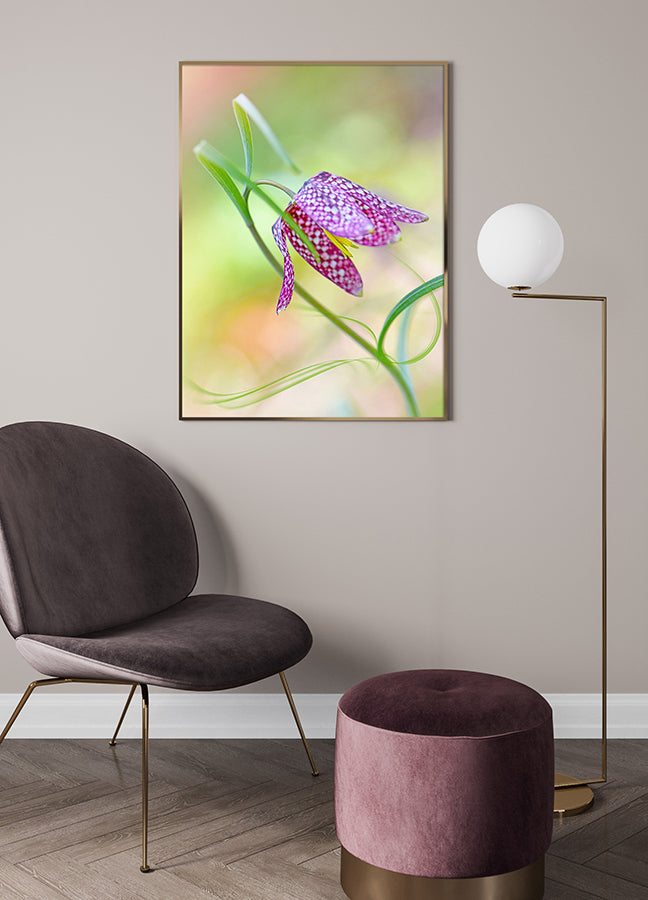 Poster - Colored tulip