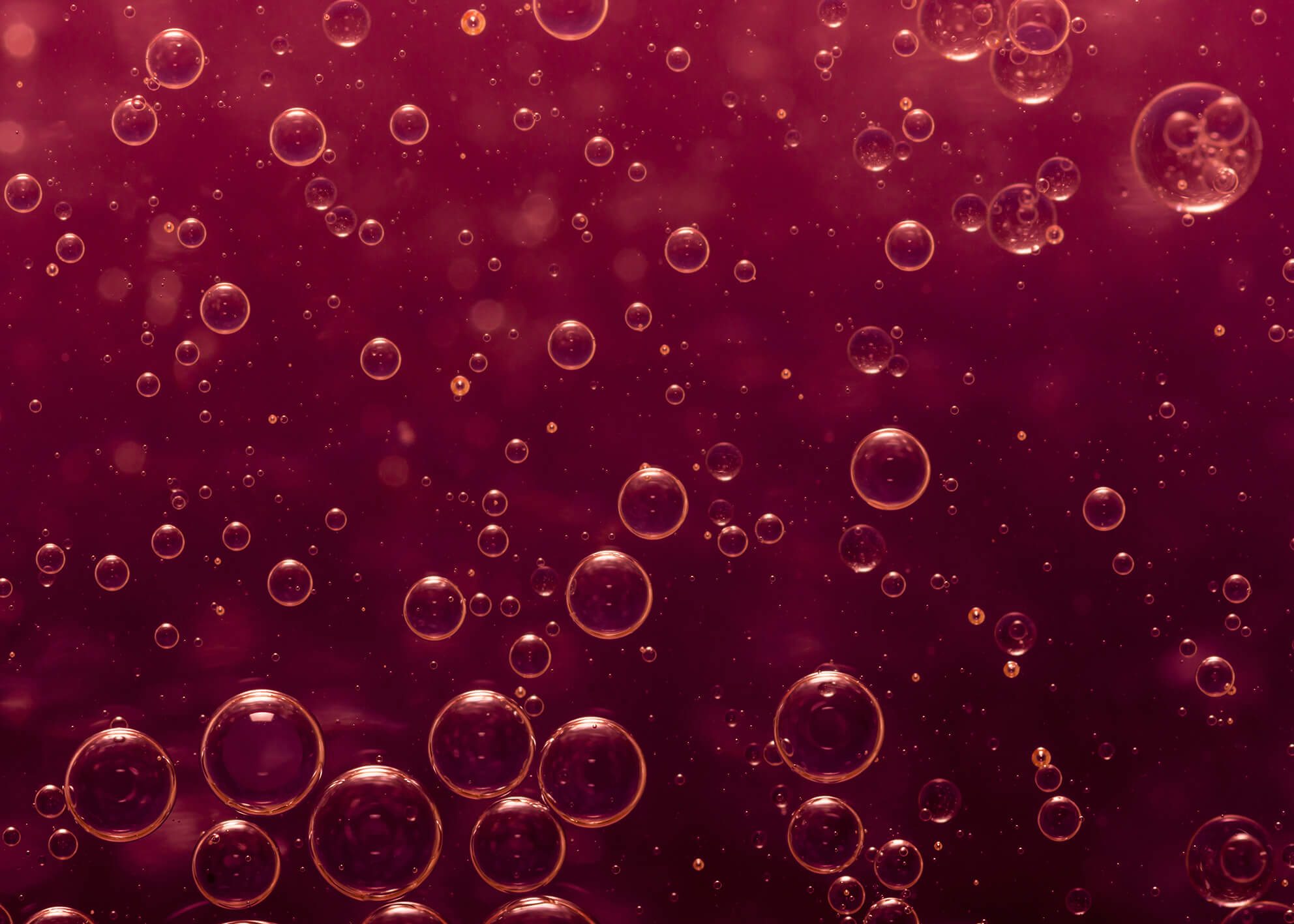 Canvastavla - Bubbel viva magenta