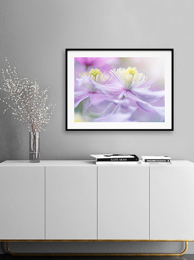 Poster - Posy