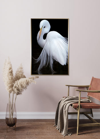 Poster - Reflectivity