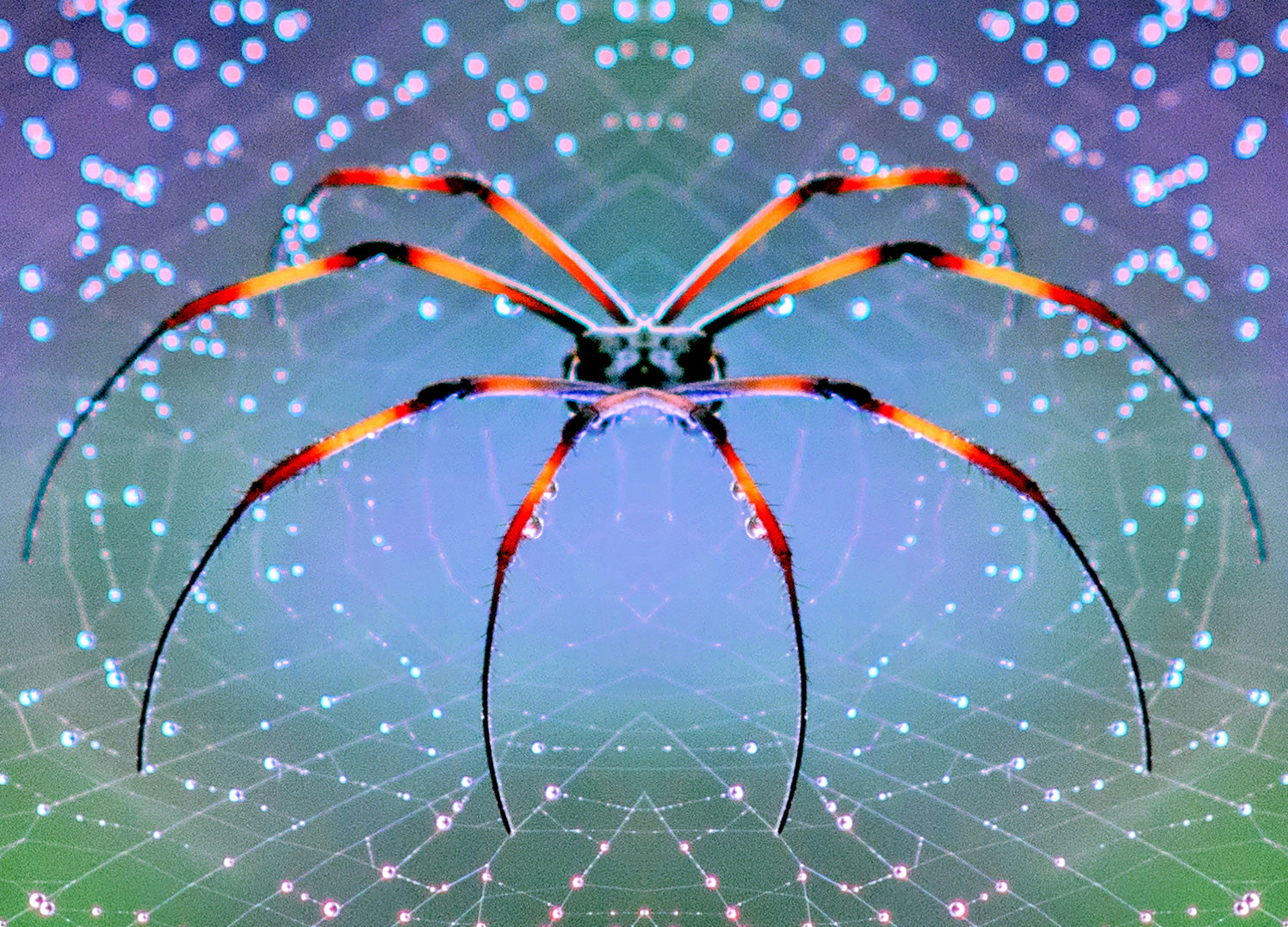 Canvastavla - Plexus