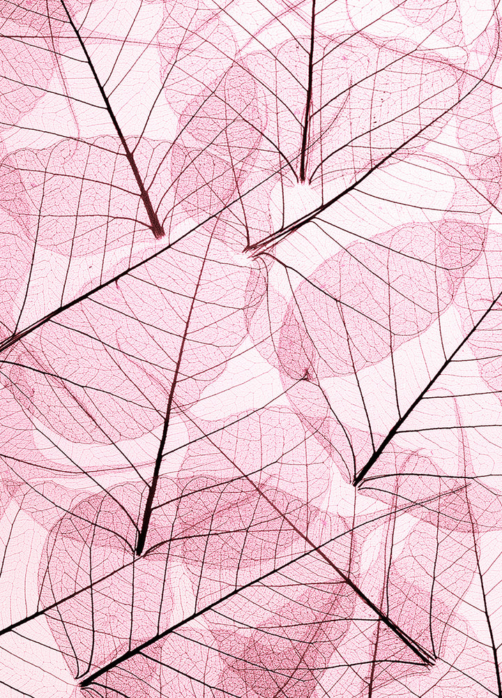 Canvastavla - Leafs