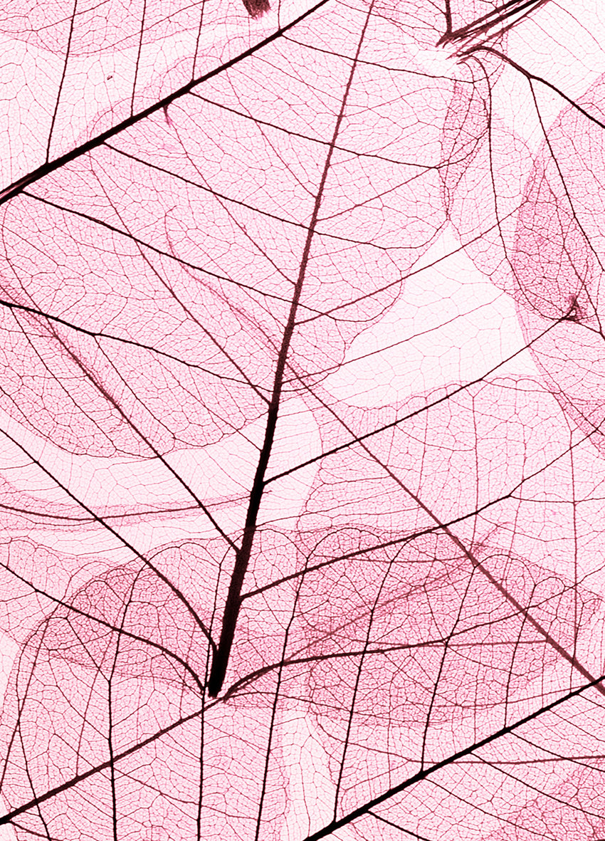 Canvastavla - Leafs