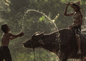 Canvastavla - Splashes of Joy
